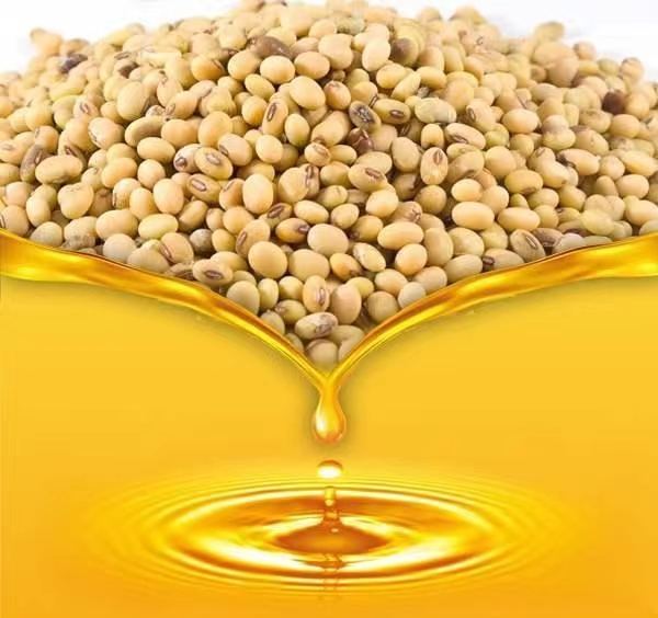 Soybean Oil Refining Complete Project