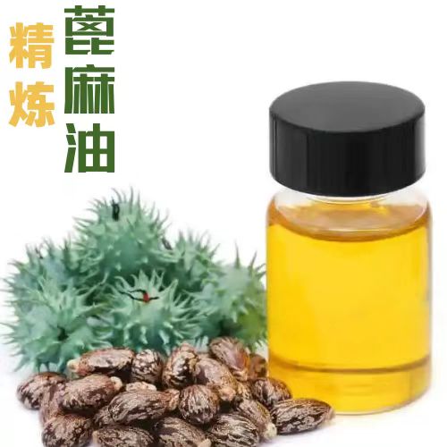 Complete Castor Oil Refining Project