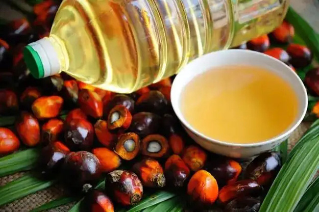 Complete Palm Oil Refining Project