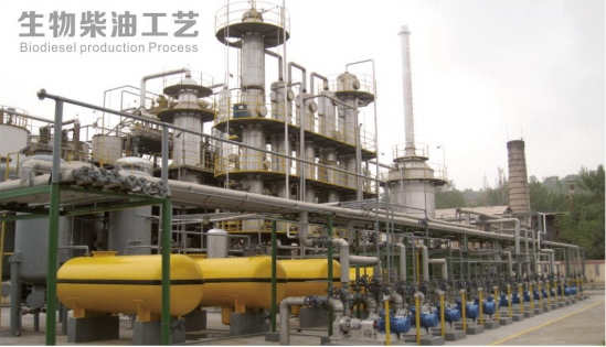 Biodiesel Process