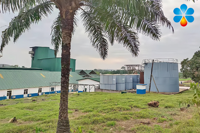 刚果（布）花生、棕榈果制油和棕榈油精炼分提项目