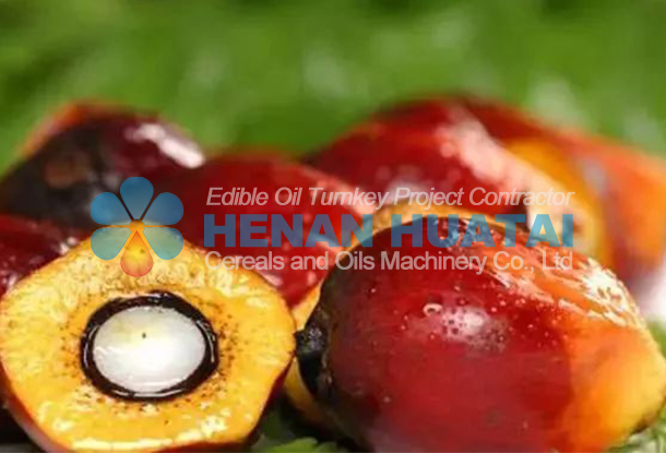 Nigeria palm oil processing line for sale