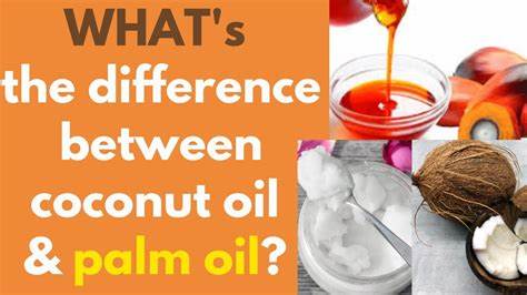Palm oil vs coconut oil for skin