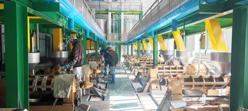 Cold pressed coconut oil extraction machine