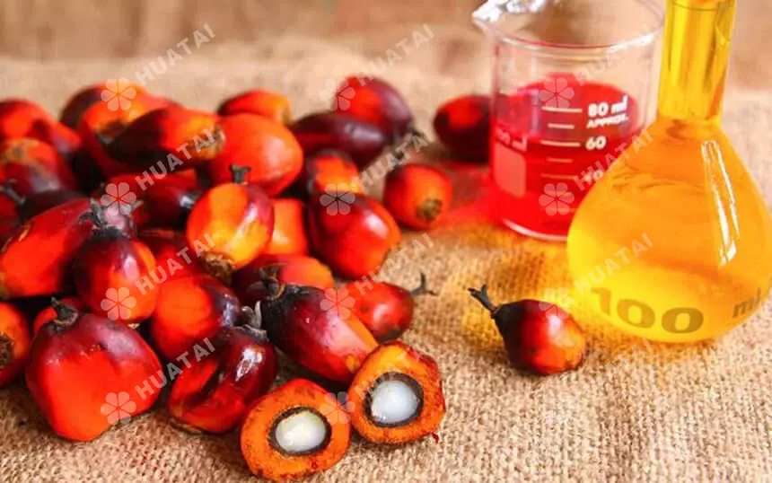 Difference between crude palm oil and refined palm oil