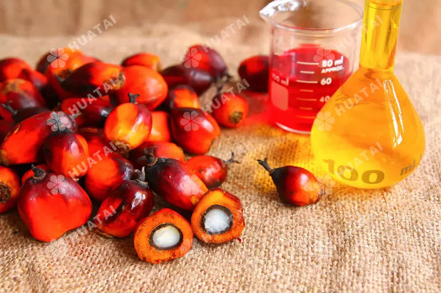 Difference between RBD palm oil and palm olein
