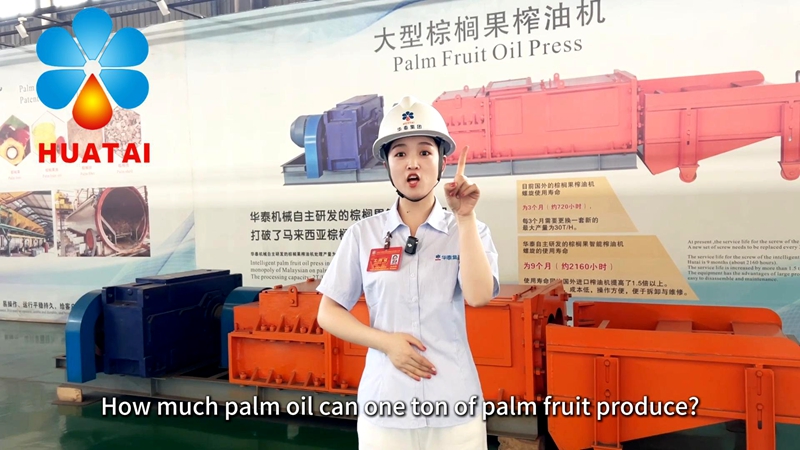 How Much Palm Oil Can One Ton of Palm Fruit Produce?