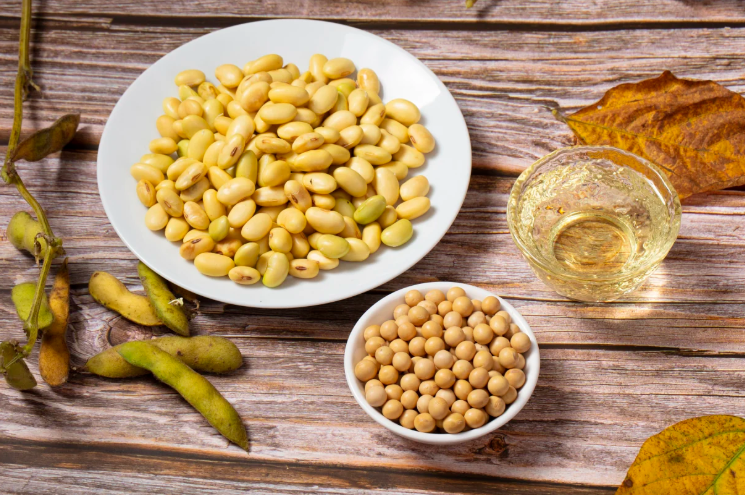 200TPD Soybean Oil Extraction Plant in Russia