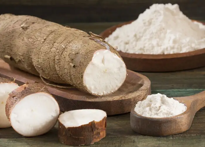 Modern cassava flour production and processing equipment 