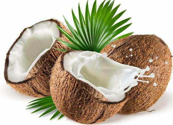 Large-scale coconut oil production lines
