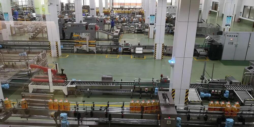 Complete Sesame Oil Production Process
