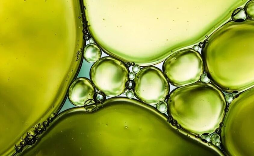 What is edible oil solvent extraction ?