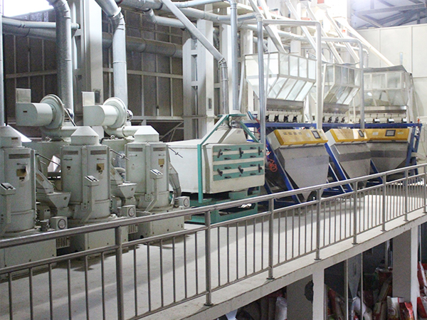 Fresh Sweet Potato Starch Processing