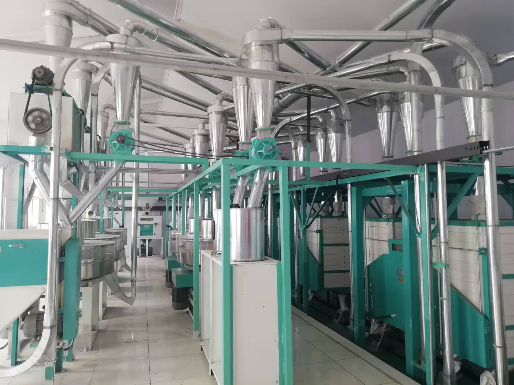 30-500T/D complete flour mill manufacturer