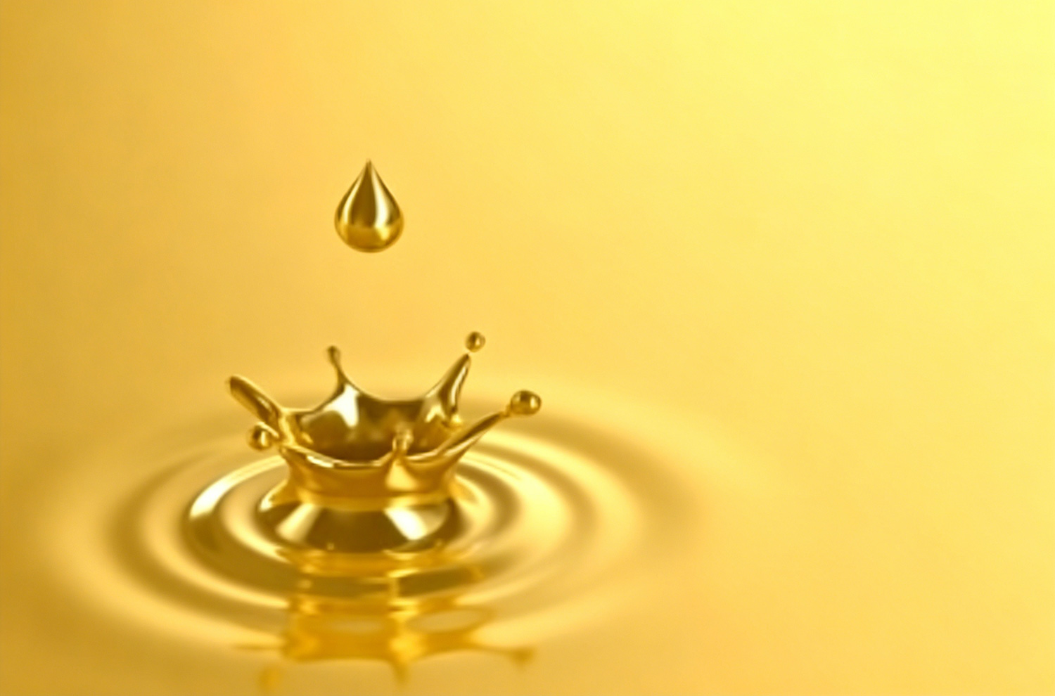 Pressing & Extraction in Edible Oil Manufacturing