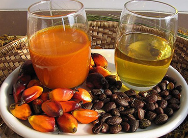2TPH palm oil processing plant in Ghana