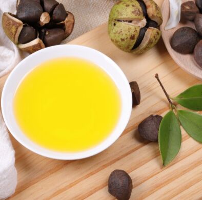 Intelligent Cold-Pressed Oil Extraction