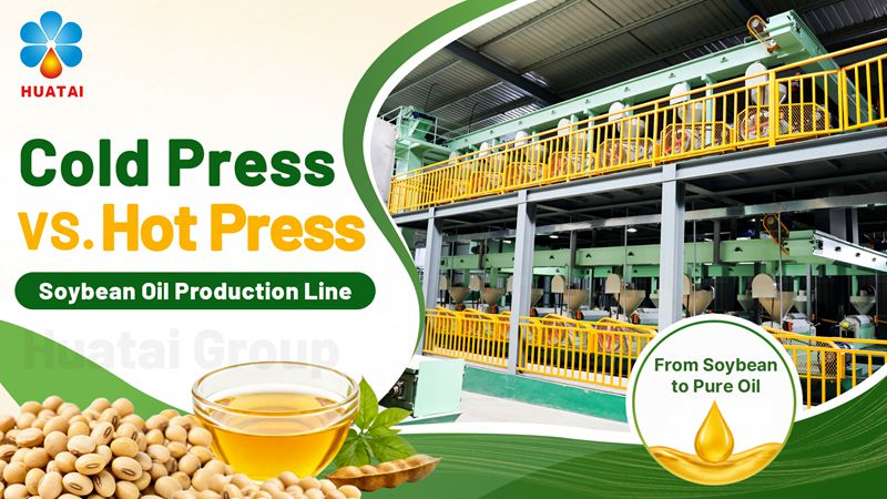 Cold Press vs. Hot Press Soybean Oil – A Complete Guide