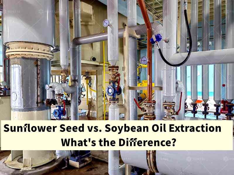 Sunflower Seed vs. Soybean Oil Extraction: What's the Difference?