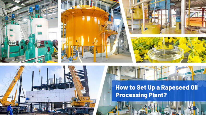 How to set up canola oil processing plant