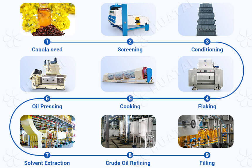 9 steps of canola oil manufacturing process