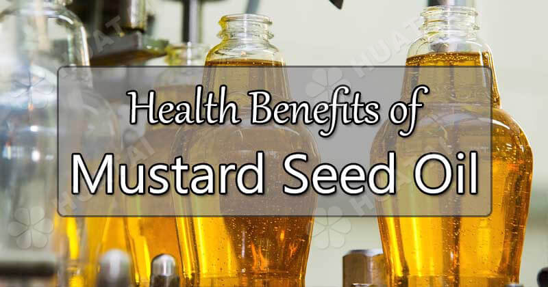 Canola oil vs mustard oil for health