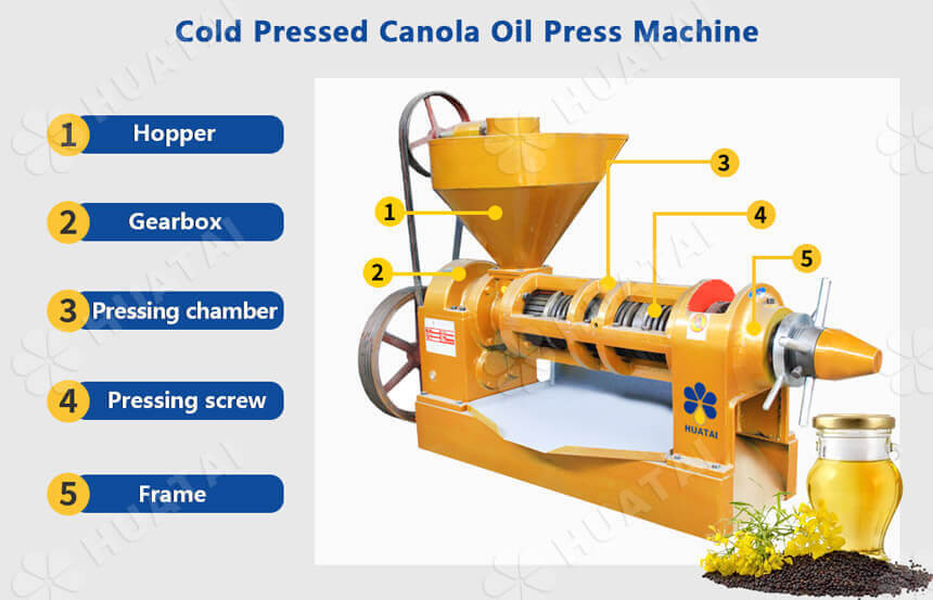 Cold pressed canola oil press machine for sale