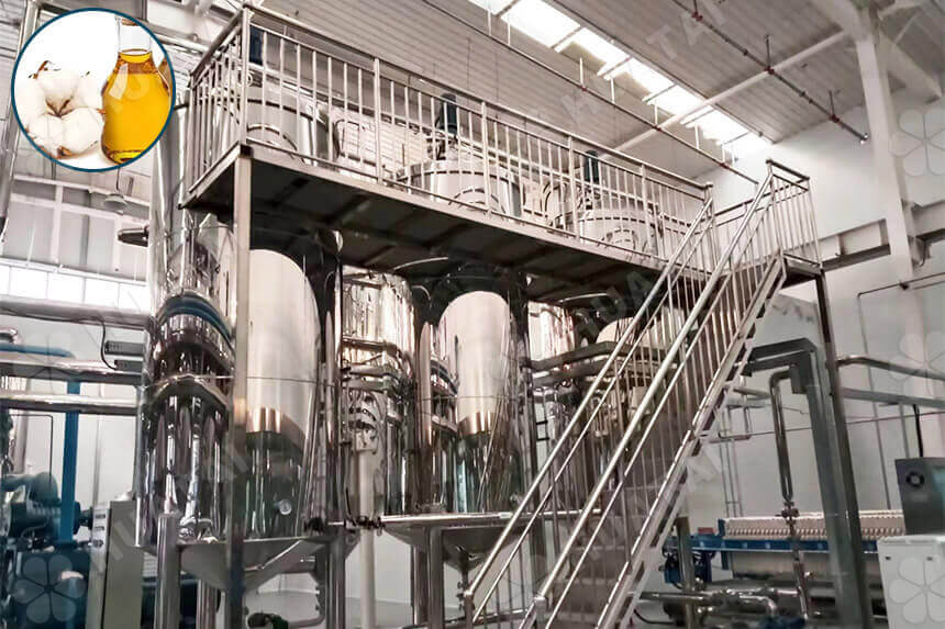 Cottonseed Oil Fractionation | Anything You Need to Know
