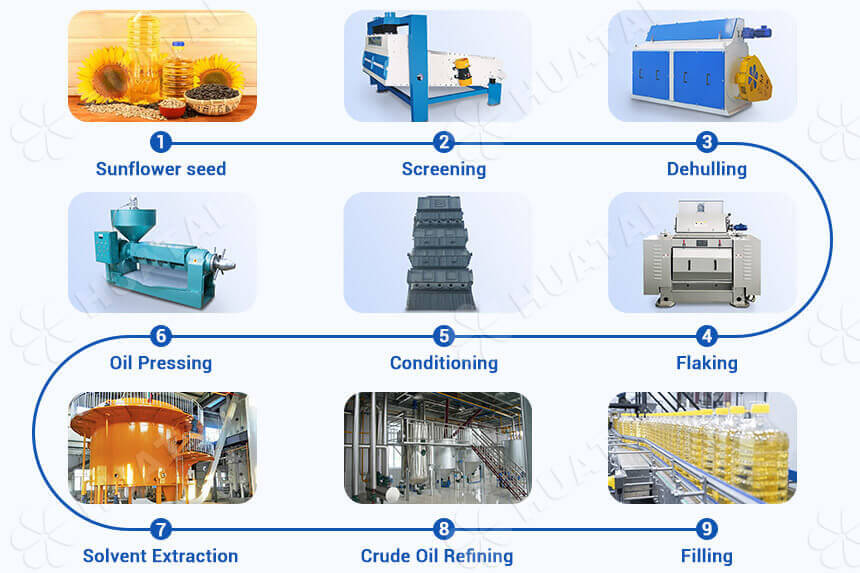 Sunflower Oil Processing Plant for Sale | Turnkey Project