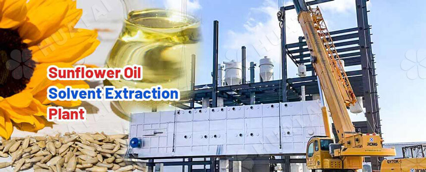 Sunflower oil solvent extraction plant