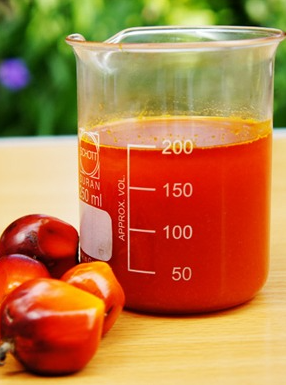 How to choose palm oil machine manufacturer?