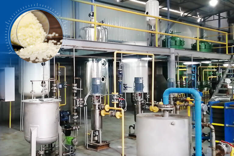Refined Rice Bran Wax Equipment