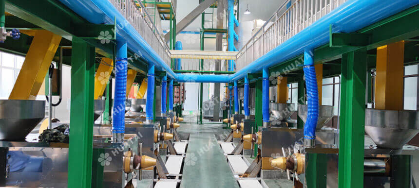 Screw sesame oil press machine