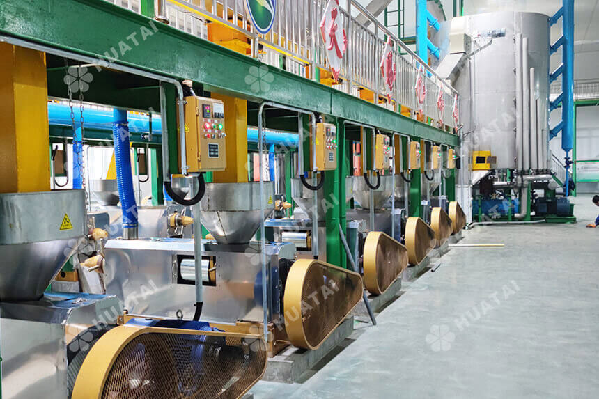 Standard Sesame Oil Manufacturing Process: 5 Step Guide