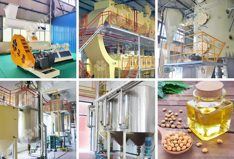 100 Ton Soybean Extrusion Oil Plant in Togo: Installation in Action