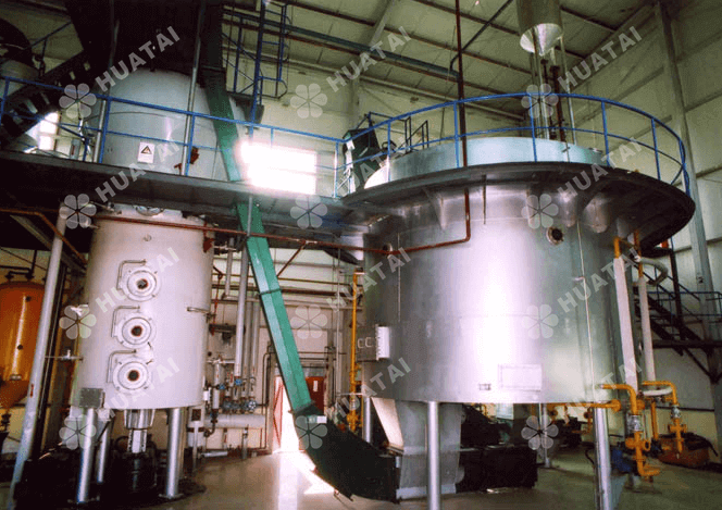 How much is a sunflower oil plant?