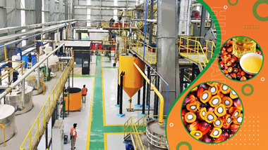 10TPH Palm Fruit Oil Mill Plant Introduction Video