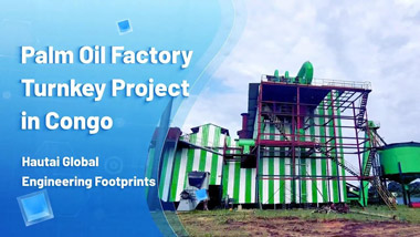 Palm Oil Factory Turnkey Solution in Congo Video