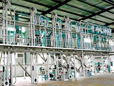 Wheat Flour Processing