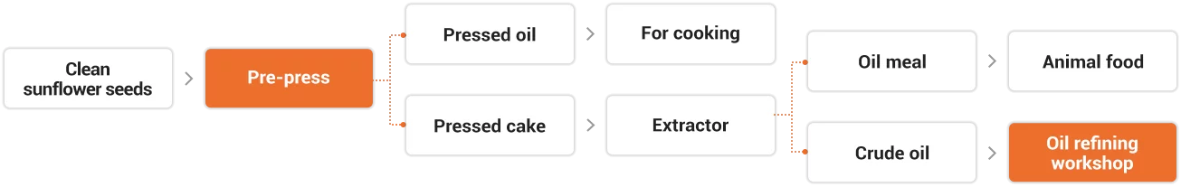 Sunflower Oil Processing Steps Flows