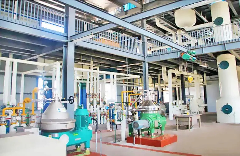 Walnut oil deodorization process in refining