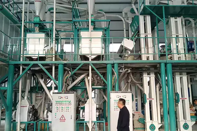 Corn processing molding and drying station
