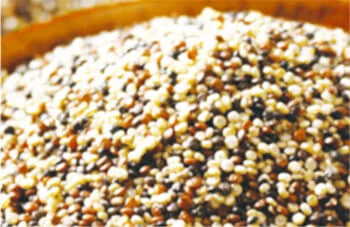 Quinoa processing equipment