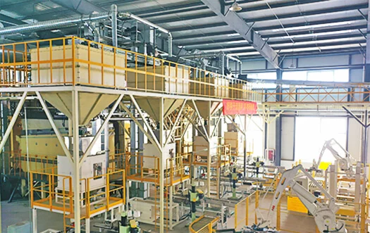 Seed Packaging Production Line Case 1