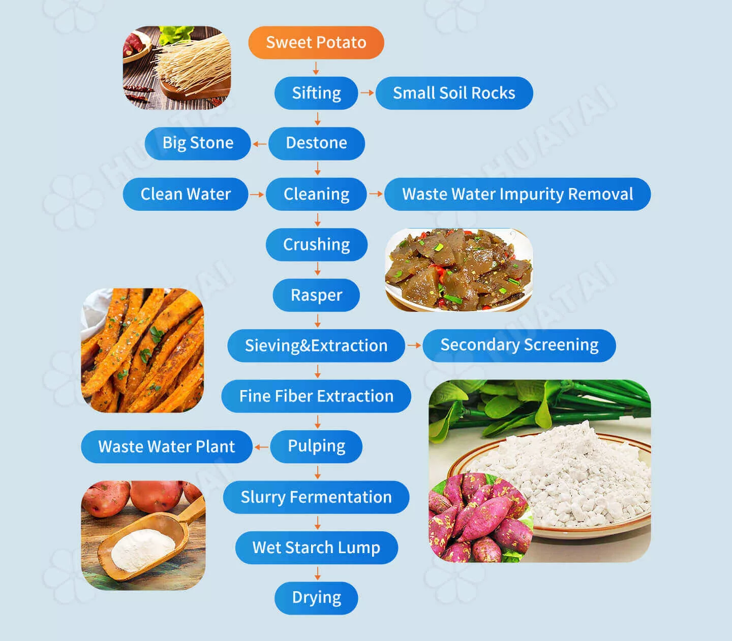 Sweet potato starch production flow diagram