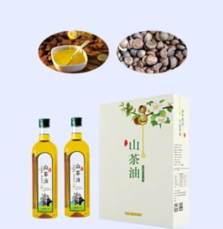 Camellia seed oil extraction equipment