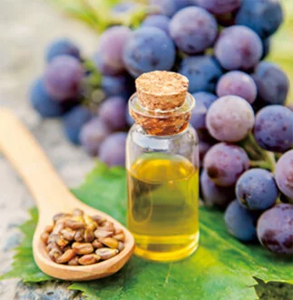 Grape seed oil equipment