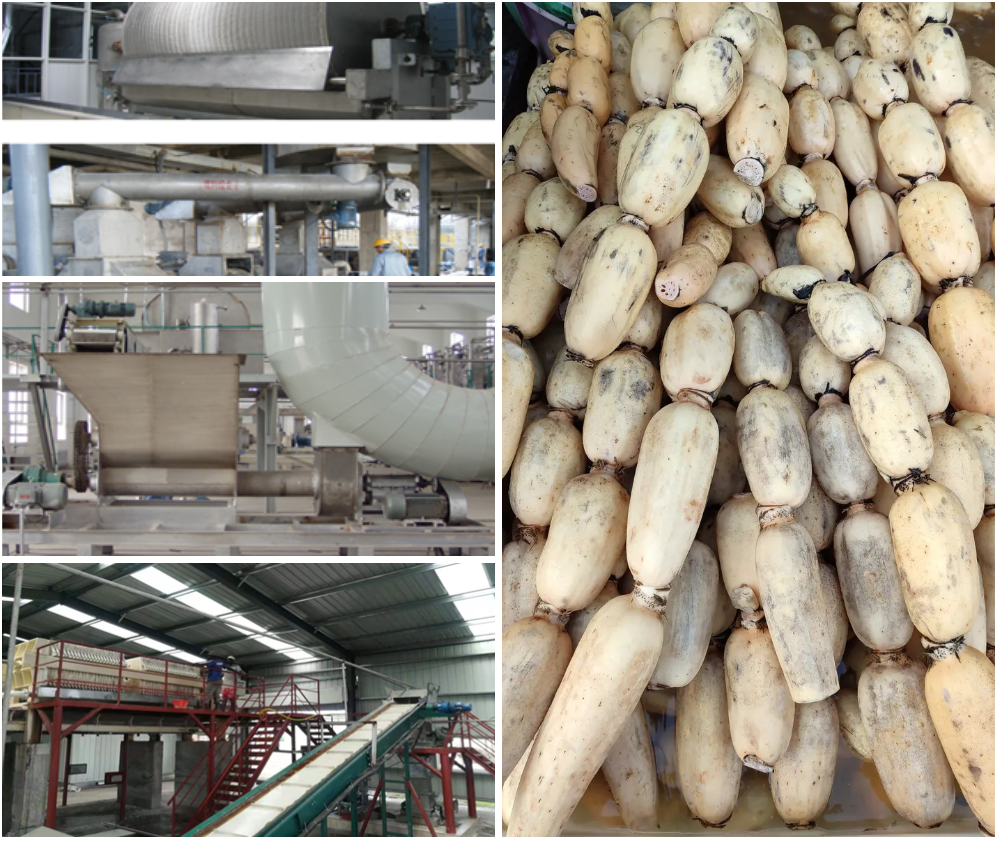 Production plan of lotus root starch