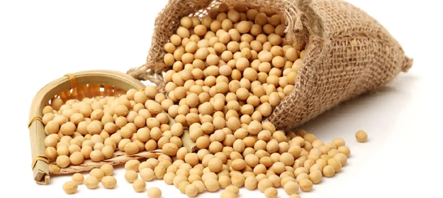 Huatai soybean pretreatment solution